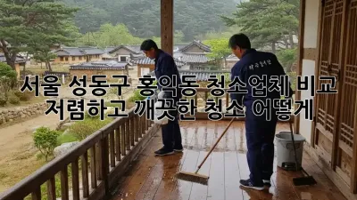 서울 성동구 홍익동 청소업체 비교: 저렴하고 깨끗한 청소, 어떻게?